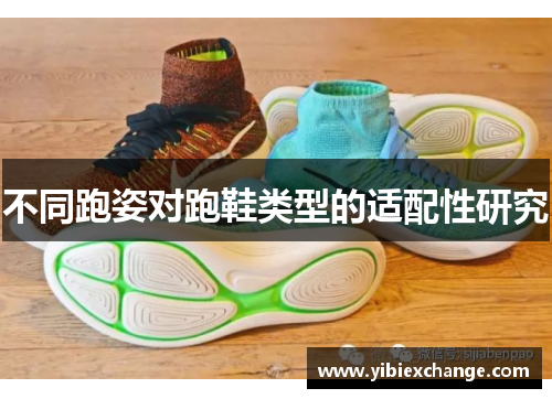 不同跑姿对跑鞋类型的适配性研究