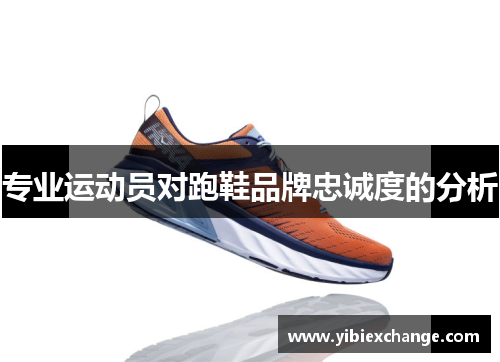 专业运动员对跑鞋品牌忠诚度的分析
