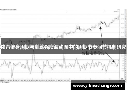 体育健身周期与训练强度波动图中的周期节奏调节机制研究